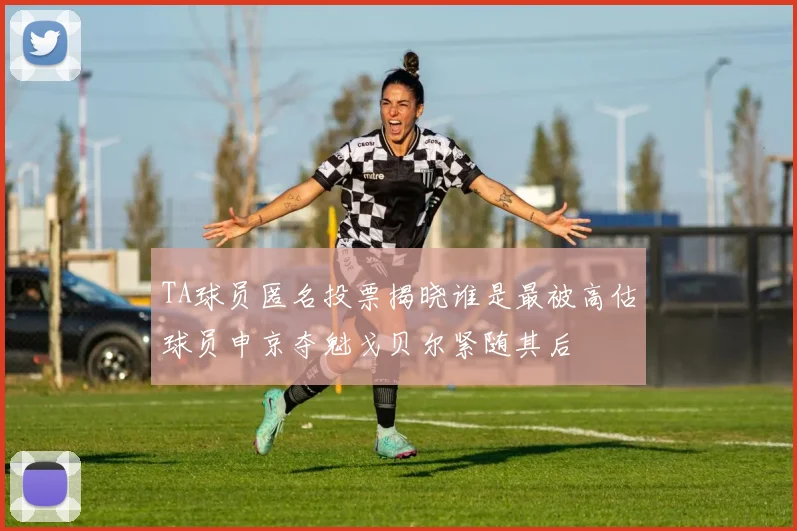 TA球员匿名投票揭晓谁是最被高估球员申京夺魁戈贝尔紧随其后