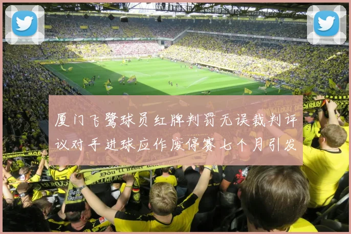 厦门飞鹭球员红牌判罚无误裁判评议对手进球应作废停赛七个月引发热议