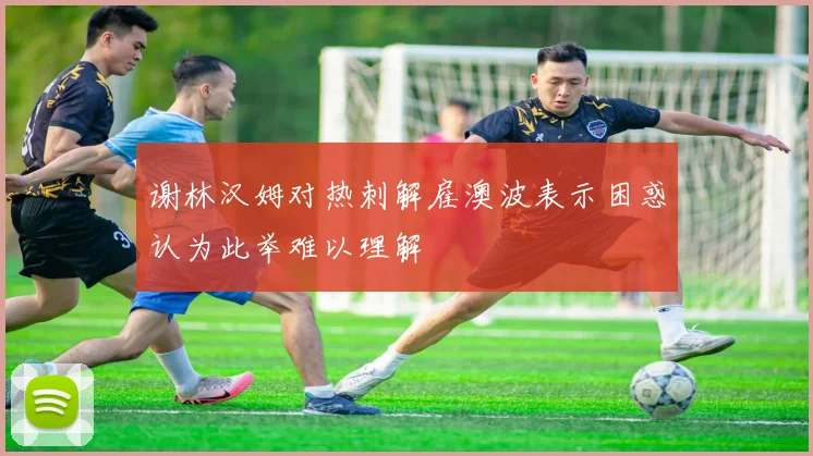 谢林汉姆对热刺解雇澳波表示困惑认为此举难以理解